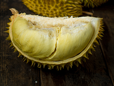 开云体育客户端APP下载基地展示标题二