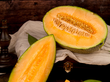 开云体育客户端APP下载基地展示标题三