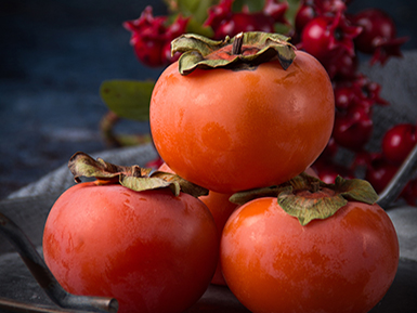 开云体育客户端APP下载基地展示标题四