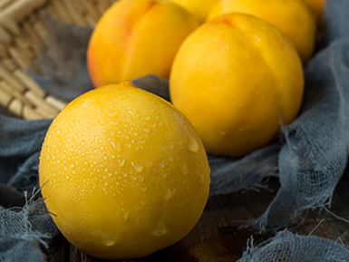 开云体育客户端APP下载基地展示标题五