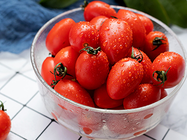 开云体育客户端APP下载基地展示标题六